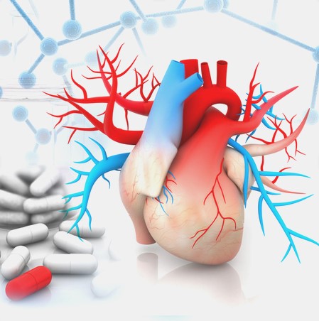 Post-doctoral fellow in Cardiac Physiology and pharmacology